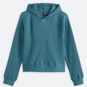 The North Face Teal Chabot Hoodie